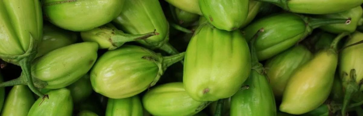 7 benefícios do jiló, o fruto amargo que adoça a vida