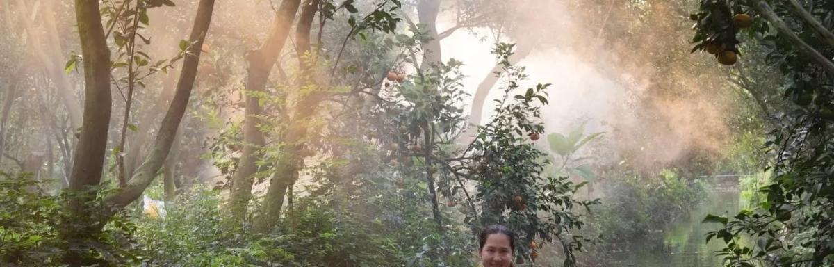 5 benefícios da pupunha: a fruta da região amazônica