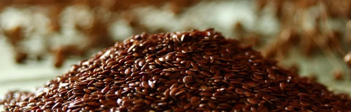 8 benefícios da linhaça para a saúde