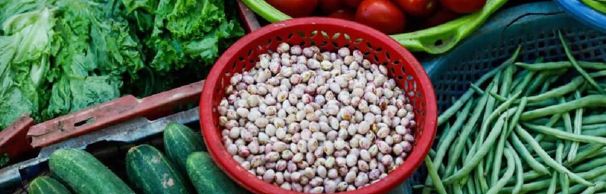 Alimentos ricos em ferro para a sua Dieta
