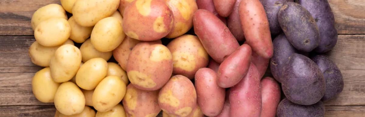 Batata doce x batata inglesa: qual a mais saudável?