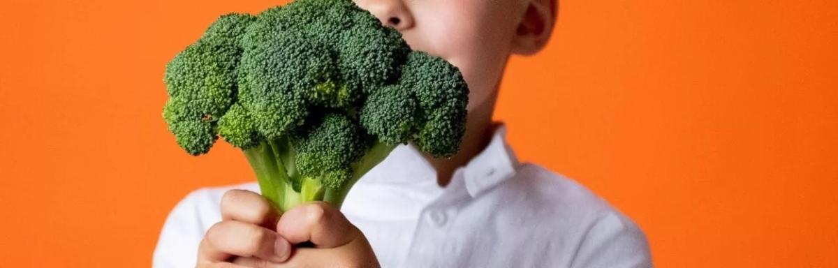 Receitas com alimentos Ricos em Vitaminas