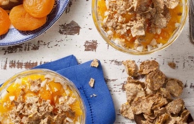 Receitas com manga: Creminho de Manga e Damasco