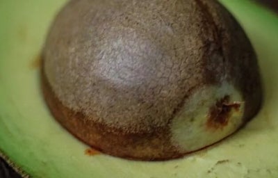  Chá de caroço de abacate benefícios e como fazer