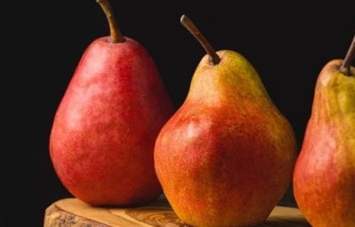 Quais são os alimentos bons para a bexiga?