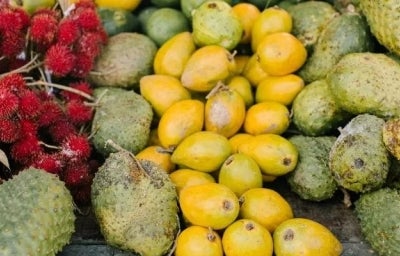 8 benefícios da graviola para a saúde