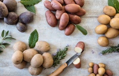 Seleção de batatas vermelhas, amarelas e roxas acompanhadas de ervas aromáticas sobre superfície de madeira rústica.