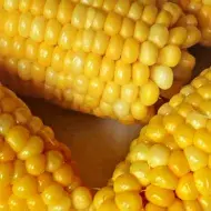 Dia do milho: quatro milhos na espiga em cima de um prato