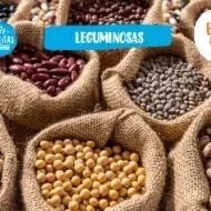 Fotografia com algumas leguminosas e o logo de Receitas Nestlé e Que Bem Que Faz.
