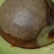  Chá de caroço de abacate benefícios e como fazer