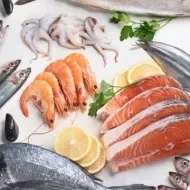 Conheça os tipos de peixes e seus benefícios