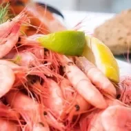 10 alimentos com fósforo para você incluir na sua dieta