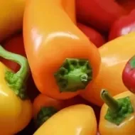 Conheça os 8 diferentes tipos de pimenta