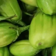 7 benefícios do jiló, o fruto amargo que adoça a vida