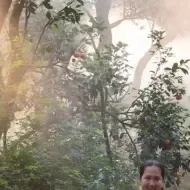 5 benefícios da pupunha: a fruta da região amazônica