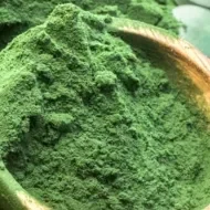Chlorella e Spirulina: as algas que podem mudar sua saúde