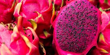 Benefícios da Pitaya: descubra tudo sobre a fruta do dragão
