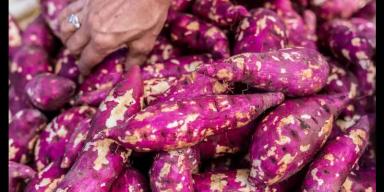 7 alimentos ricos em fibras para fazer cocô todo dia