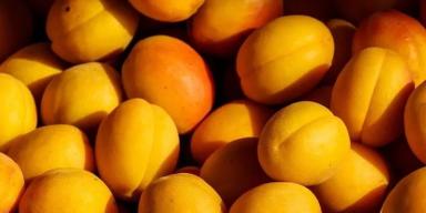 Alimentos sem amido: quais são?