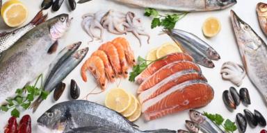 Conheça os tipos de peixes e seus benefícios