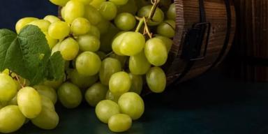 Uva verde: benefícios incríveis para sua saúde