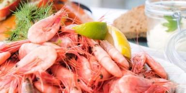 10 alimentos com fósforo para você incluir na sua dieta