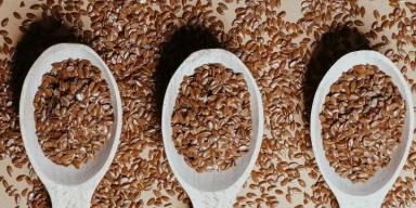 15 alimentos para fortalecer os ossos