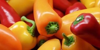 Conheça os 8 diferentes tipos de pimenta