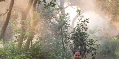 5 benefícios da pupunha: a fruta da região amazônica