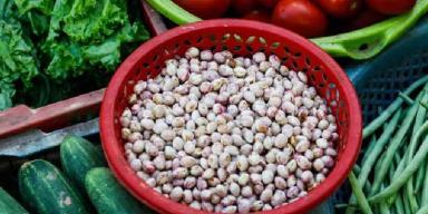 Alimentos ricos em ferro para a sua Dieta
