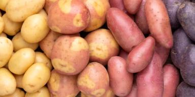 Batata doce x batata inglesa: qual a mais saudável?