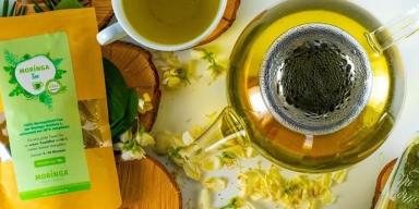 Moringa: para que serve e quais os benefícios dessa planta?