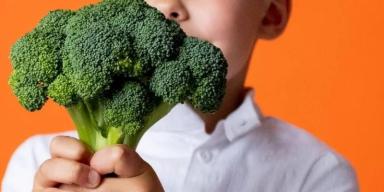 Receitas com alimentos Ricos em Vitaminas