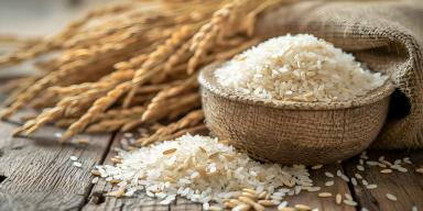 As 10 melhores receitas de arroz para variar o cardápio do dia a dia As 10 melhores receitas de arroz para variar o cardápio do dia a dia