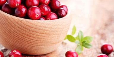 Tigela de madeira com cranberries frescos sobre superfície rústica, com algumas frutas espalhadas ao redor.