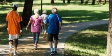 Grupo de idosos caminhando juntos em um parque arborizado, em uma trilha pavimentada em dia ensolarado.