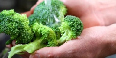 Brócolis sendo lavado em água corrente nas mãos, ilustrando a higienização correta de vegetais.