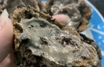 Foto da receita de empadinha doce de biscoito negresco servida em um prato de porcelana azul e branco Foto da receita de empadinha doce de biscoito negresco servida em um prato de porcelana azul e branco