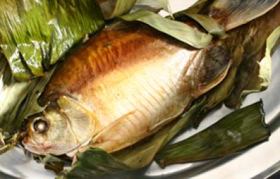 Fotografia em tons de dourado e verde, com travessa de inox ao centro com peixe assado e folhas de bananeira, Fotografia em tons de dourado e verde, com travessa de inox ao centro com peixe assado e folhas de bananeira,