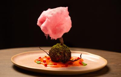 Receita de Mousse de Chocolate com Wasabi Fresco, Goiabada e Árvore de Algodão Doce, diferente e incrível, feito com uma Mousse e Chocolate, uma Goiabada, Terra de Chocolate e uma Árvore de Chocolate Receita de Mousse de Chocolate com Wasabi Fresco, Goiabada e Árvore de Algodão Doce, diferente e incrível, feito com uma Mousse e Chocolate, uma Goiabada, Terra de Chocolate e uma Árvore de Chocolate