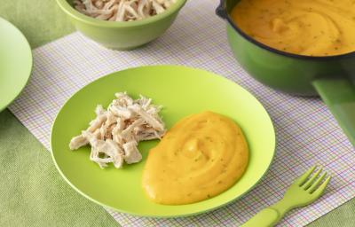 Foto da receita de pure de batate e cenoura. Observa-se um prato verde bebê com o purêzinho laranja do lado direito e um franguinho desfiado do lado esquerdo. Foto da receita de pure de batate e cenoura. Observa-se um prato verde bebê com o purêzinho laranja do lado direito e um franguinho desfiado do lado esquerdo.