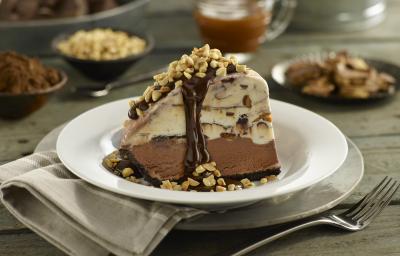 Fotografia de uma fatia de torta Alaska feita de sorvete de café com uma calda de chocolate e amendoins triturados. A torta está em um prato fundo branco.