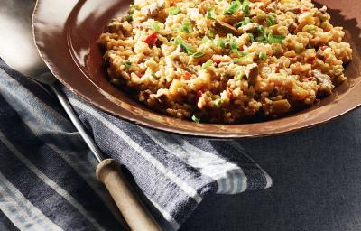 Foto de um prato marrom com risoto dentro