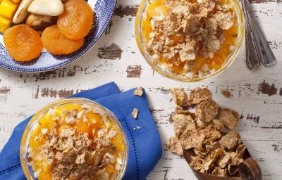 creminho-manga-damasco-receitas-nestle