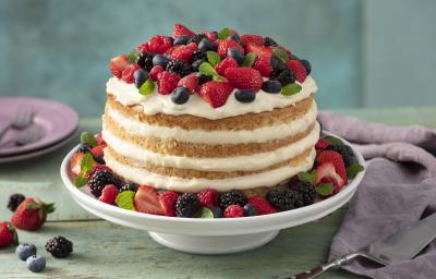 Fotografia em tons de vermelho e lilás em uma bancada de madeira verde, um pano roxo, um suporte para bolo com o bolo pelado (naked cake) com creme branco e com decoração de frutas vermelhas. Ao fundo, pratos pequenos lilás de sobremesa. Fotografia em tons de vermelho e lilás em uma bancada de madeira verde, um pano roxo, um suporte para bolo com o bolo pelado (naked cake) com creme branco e com decoração de frutas vermelhas. Ao fundo, pratos pequenos lilás de sobremesa.