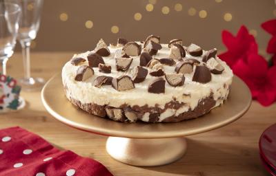 Fotografia de um bolo sorvete com camadas de chocolate na base e sorvete de creme no topo, decorado com pedaços de bombons cortados ao meio.