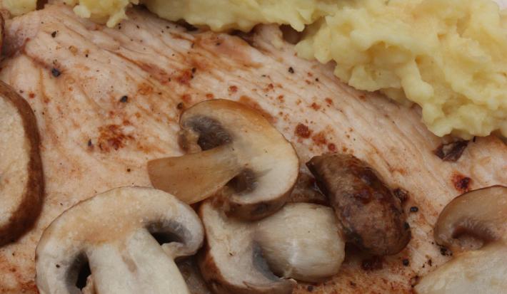 sobre um prato branco está um filet de frango grelhado em tons dourados, cogumelos por cima e um purê de batata em tons amarelados ao lado.