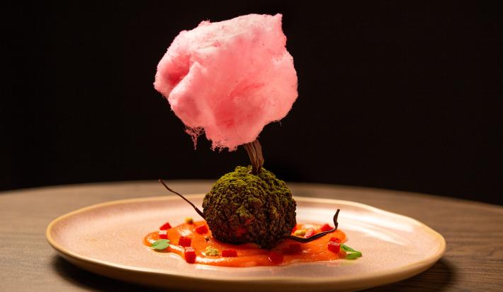 Receita de Mousse de Chocolate com Wasabi Fresco, Goiabada e Árvore de Algodão Doce, diferente e incrível, feito com uma Mousse e Chocolate, uma Goiabada, Terra de Chocolate e uma Árvore de Chocolate