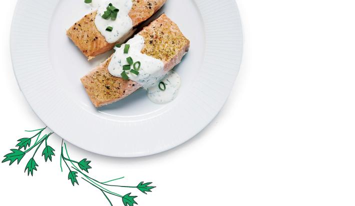 Fotografia em tons de verde em um fundo branco com um prato branco raso com duas postas de salmão grelhado com molho limone.