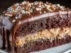 Fotografia de uma fatia de bolo de chocolate em um prato branco, com duas camadas de bolo úmido, recheio de doce de leite, coberta por ganache e decorada com castanhas picadas.